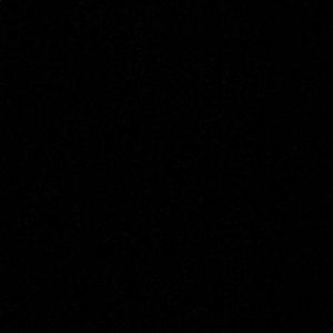 Meet your Posher, Cesar